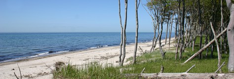 Ausflugsziele beim Zingst Urlaub