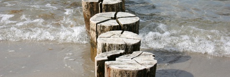 Hühnergötter am Strand in Zingst