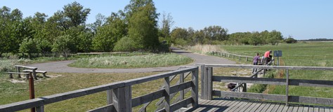 Osterwald Zingst und Sundsiche Wiese